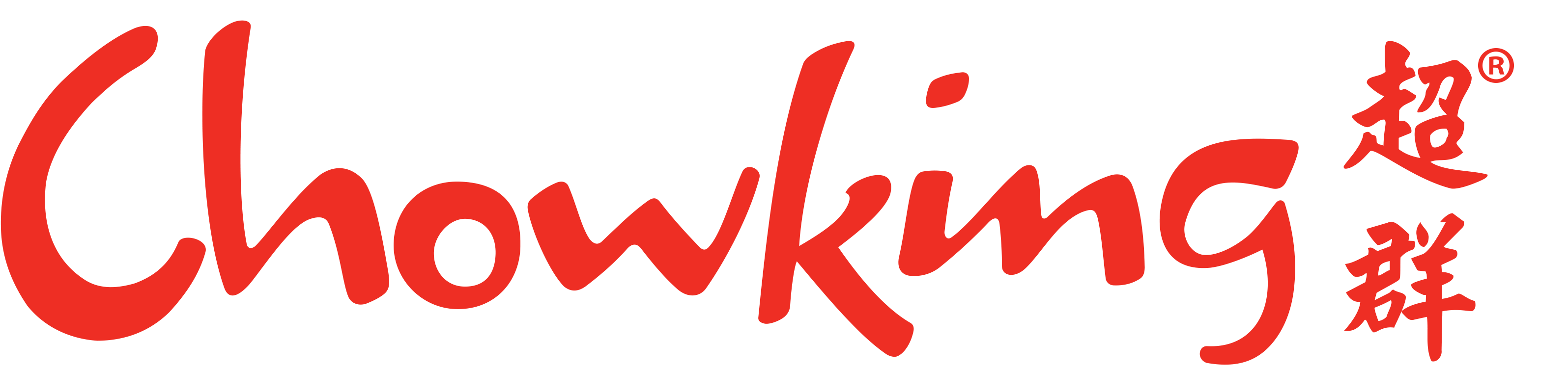 Chow sales king coupons